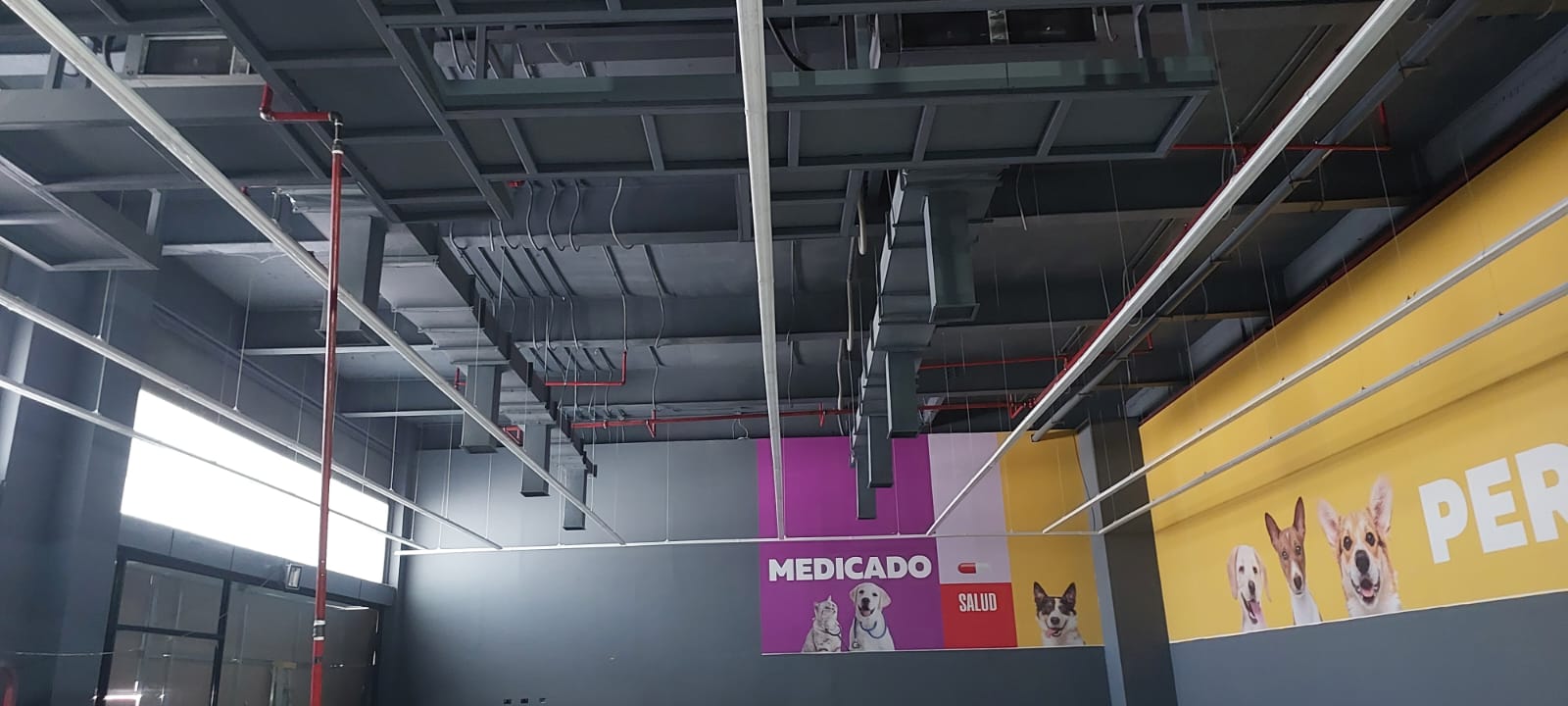 WhatsApp Image 2024-09-09 at 14.12.26