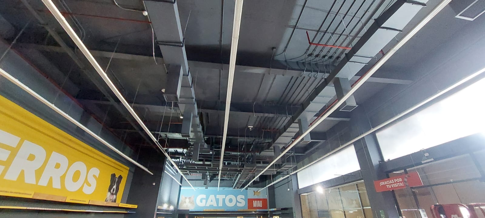 WhatsApp Image 2024-09-09 at 14.12.27